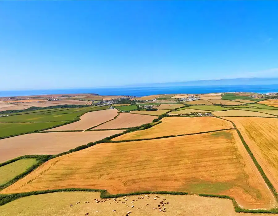 SVAASA Banner 2 Mobile